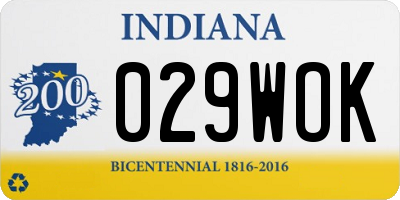 IN license plate 029WOK