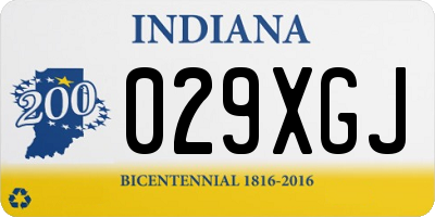 IN license plate 029XGJ
