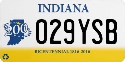 IN license plate 029YSB