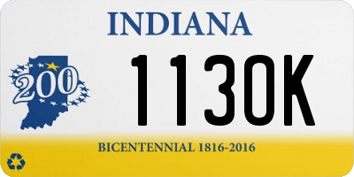 IN license plate 113OK