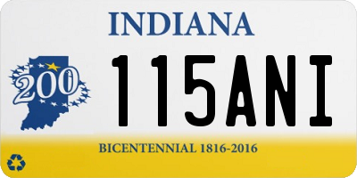 IN license plate 115ANI