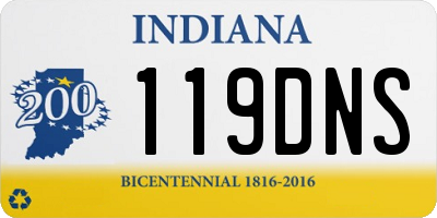 IN license plate 119DNS