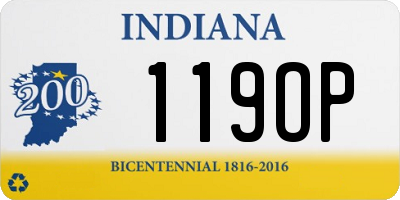 IN license plate 119OP