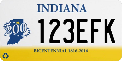 IN license plate 123EFK