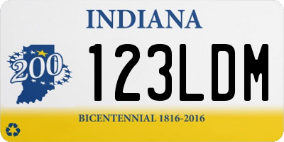 IN license plate 123LDM