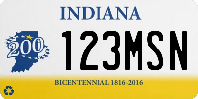 IN license plate 123MSN