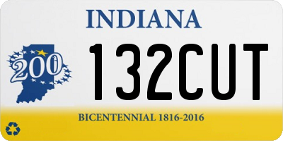 IN license plate 132CUT