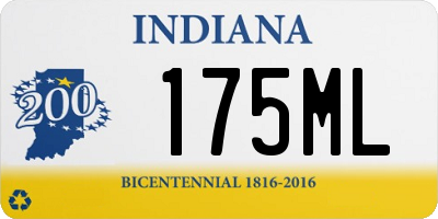 IN license plate 175ML