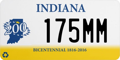 IN license plate 175MM