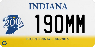 IN license plate 190MM