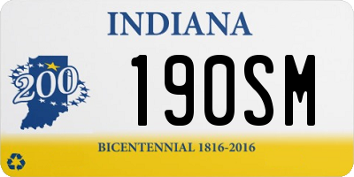 IN license plate 190SM