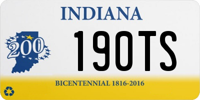 IN license plate 190TS