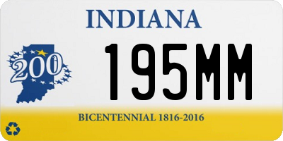 IN license plate 195MM