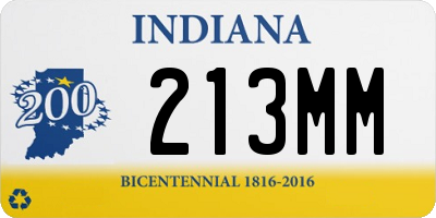IN license plate 213MM
