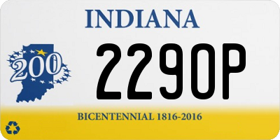 IN license plate 229OP