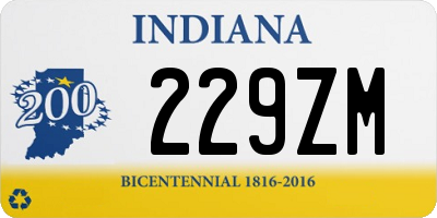 IN license plate 229ZM