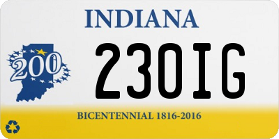 IN license plate 230IG