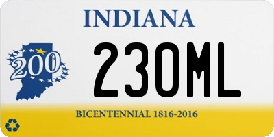 IN license plate 230ML