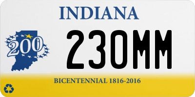 IN license plate 230MM