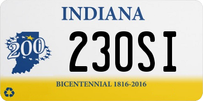 IN license plate 230SI