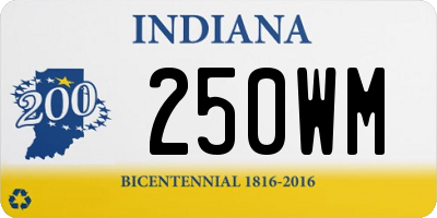 IN license plate 250WM