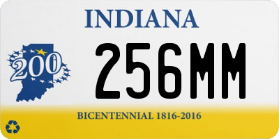 IN license plate 256MM