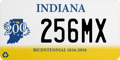 IN license plate 256MX