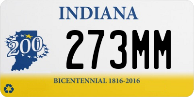 IN license plate 273MM
