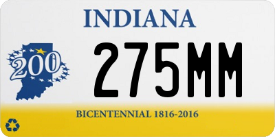 IN license plate 275MM