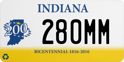IN license plate 280MM