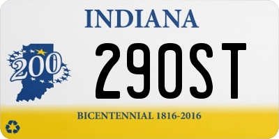 IN license plate 290ST