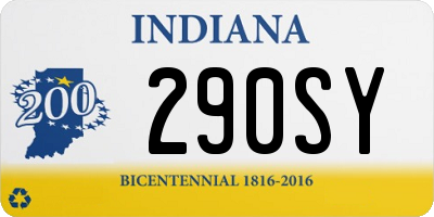 IN license plate 290SY