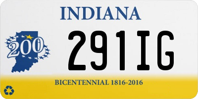 IN license plate 291IG