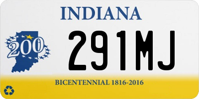 IN license plate 291MJ