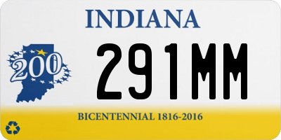 IN license plate 291MM