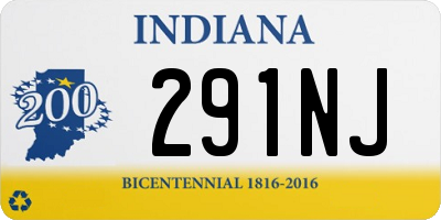 IN license plate 291NJ