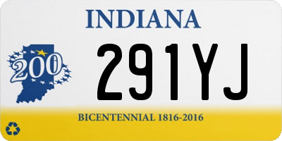 IN license plate 291YJ