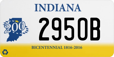 IN license plate 295OB