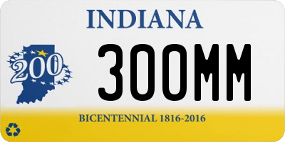 IN license plate 300MM