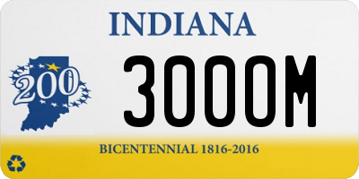 IN license plate 300OM