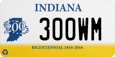 IN license plate 300WM