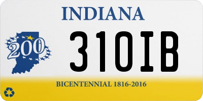 IN license plate 310IB