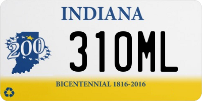 IN license plate 310ML