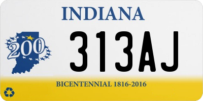 IN license plate 313AJ