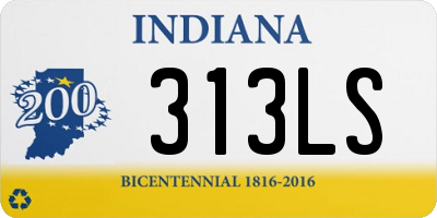 IN license plate 313LS