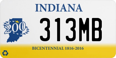 IN license plate 313MB