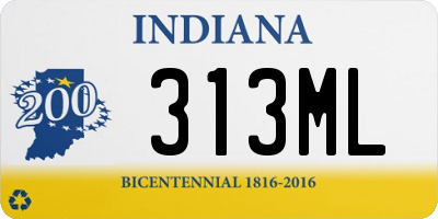 IN license plate 313ML