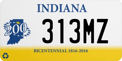 IN license plate 313MZ