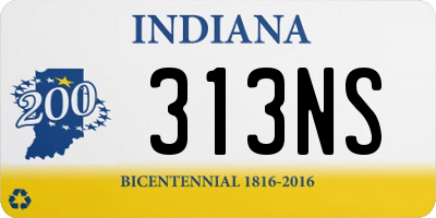 IN license plate 313NS