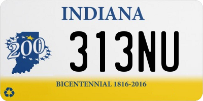 IN license plate 313NU